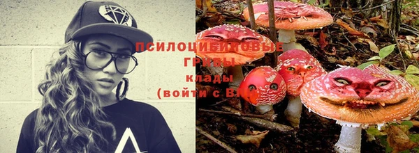 a pvp Арсеньев